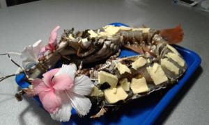 a lobster on a blue plate with flowers on it at Mamy Cherie in Rodrigues Island +60 photos