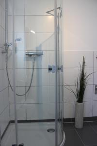 eine Glasdusche im Bad mit Pflanze in der Unterkunft Ferienwohnung Markert - Neben den Weinbergen in Randersacker
