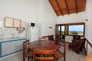 Η κουζίνα ή μικρή κουζίνα στο Ron Apartamentos Terrazas