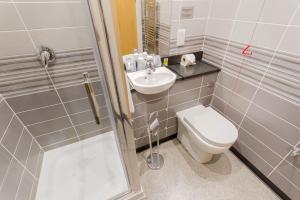 a bathroom with a toilet and a sink and a shower at Gwesty Seren Hotel in Blaenau-Ffestiniog