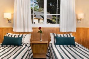 two beds in a room with a window at Miradores del Bosque Apart & Spa in Mar de las Pampas +46 photos