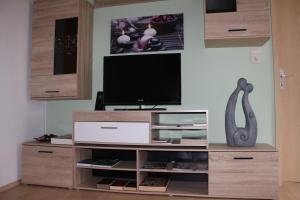 a entertainment center with a flat screen tv in a living room at Susanne in Koblenz