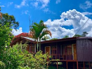 a house with a palm tree in front of it at Hotel Palenque Tarrazu in San Marcos