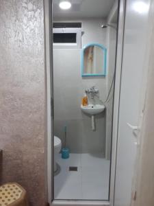 W łazience znajduje się prysznic i umywalka. w obiekcie ARTUR w mieście Batumi