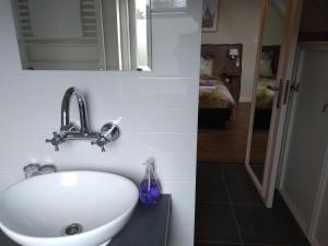 y baño con lavabo blanco y espejo. en Bed & Breakfast Ons Nest en Westwoud