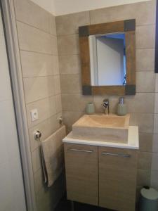 y baño con lavabo y espejo. en Ax Sweet Mountain - 3ch et 2 sdb - jardin centre village, en Ax-les-Thermes