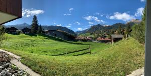 a green hill with houses and a fence on it at Brand New, 5min to Ski PARADISE ! in Grindelwald