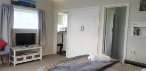 Schlafzimmer mit einem Bett, einem TV und einem Fenster in der Unterkunft Oamaru Harbour Nest in Oamaru