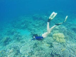 Gallery image of The Cliff Hostel, M'Pay Bay in Koh Rong Sanloem