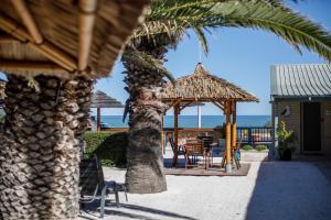 a beach with palm trees and palm trees at Shark Bay Seafront Apartments in Denham