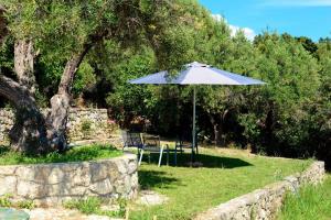 Zahrada ubytování Olive stone Villa