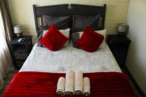 een bed met twee rode kussens en een rode deken bij African Adventures Accommodation in Joostenberg Vlakte