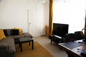 ein Wohnzimmer mit einem Sofa und einem TV in der Unterkunft Apartment am Rhein in Wesseling