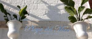 two white vases with plants in them on a wall at Playa del Mar - Adults Only in Monopoli
