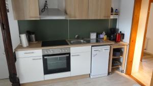 uma pequena cozinha com armários brancos e um lavatório em Ferienwohnung bei Erfurt em Gebesee