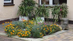 a garden of flowers in front of a building at Ferienwohnung bei Erfurt in Gebesee