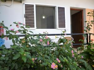 Zahrada ubytování Kostas studios