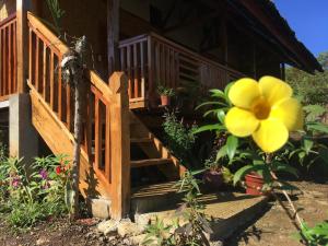 B&R Hostel Nagtabon外面的花园