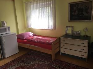 Fotografie z fotogalerie ubytování Modrý Pension v destinaci Mladá Boleslav