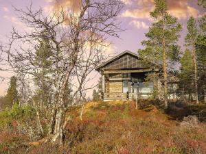 サーリセルカにあるHoliday Home Kiehinen 2 by Interhomeの木立の丘の上の家