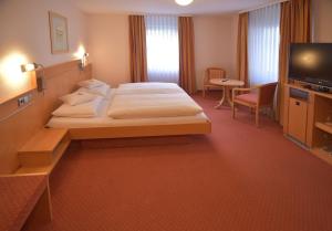 TV a/nebo společenská místnost v ubytování Hotel - Restaurant Hirsch