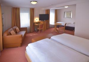 TV a/nebo společenská místnost v ubytování Hotel - Restaurant Hirsch