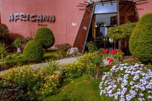 Zahrada ubytování Africana Hotel & Spa