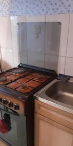a kitchen with a stove and a sink at Guest House OTILIA in Gyumri +25 photos