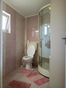 a bathroom with a toilet and a glass shower at Elizabeth's Rooms in Gherla