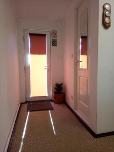 an empty hallway with a door and a plant at Elizabeth's Rooms in Gherla