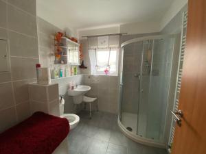 a bathroom with a shower and a toilet and a sink at Apartmán na Lukách - Kopretina in Třeboň