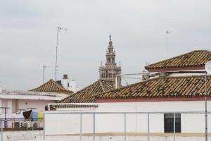 Fotografia z galérie ubytovania Optimus Conde de Ibarra v destinácii Seville