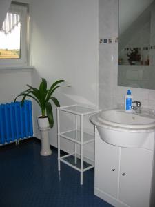 ein Badezimmer mit einem Waschbecken und einer Topfpflanze in der Unterkunft Ferienwohnung Peter Engelhardt in Schmiedefeld am Rennsteig