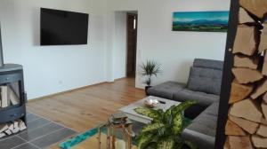 ein Wohnzimmer mit einem Sofa und einem TV in der Unterkunft Ferienwohnung Alpenpanorama in Hopferau