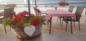 una mesa y sillas con una mesa y flores rojas en Mai Danube, en Eşelniţa