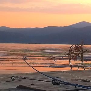 Gallery image of Mai Danube in Eşelniţa