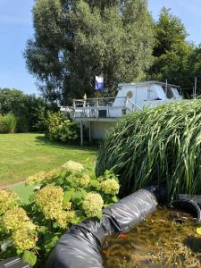 Zahrada ubytování Guesthouse De Witte Merel Deluxe