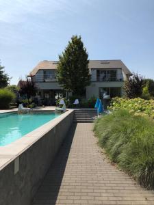 Bazén v ubytování Guesthouse De Witte Merel Deluxe nebo v jeho okolí
