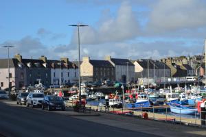 a bunch of boats are docked in a harbor at Harbour View Apartment Wick in Wick