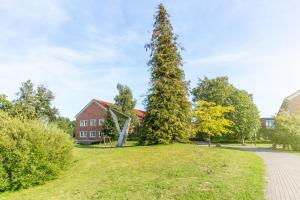 
a tree in the middle of a grassy area at Hotel Rügenblick in Stralsund
