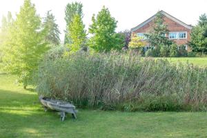 Zahrada ubytování Hotel Rügenblick