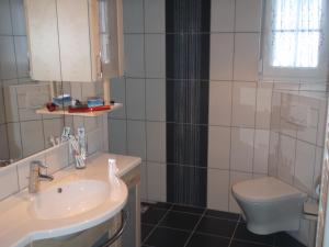 ein Bad mit einem Waschbecken und einem WC in der Unterkunft Ferienhaus Grobauer in Schwarzenberg am Bohmerwald