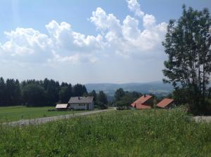 Príroda v okolí horskej chaty