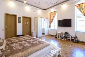 a bedroom with a bed and a flat screen tv at MW Old&New Home in Braşov