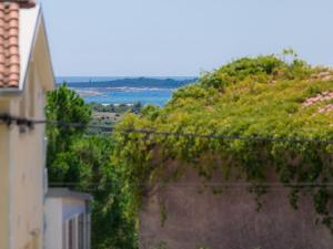 widok na wzgórze z winoroślą w obiekcie Holiday Home Evelina by Interhome w mieście Ližnjan