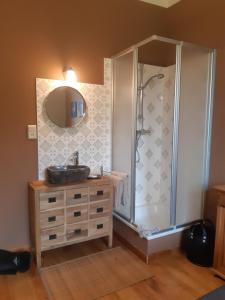 a bathroom with a shower with a sink and a dresser at Le Thirifays in Chiny +38 photos