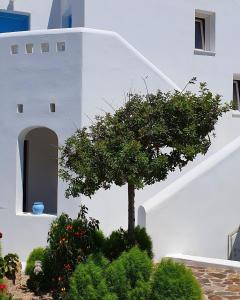 a tree in a garden in front of a white building at Sarakiniko Rooms in Adamantas