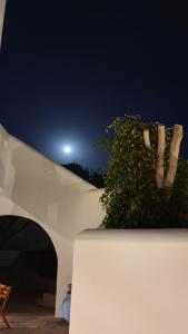 a white building with a bush in front of it at Sarakiniko Rooms in Adamantas