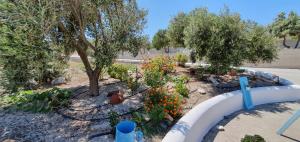 a garden with trees and flowers in a fence at Sarakiniko Rooms in Adamantas
