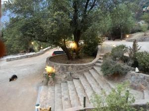 Foto sihtkohas Guayacán asuva majutusasutuse Miramonte B&B galeriist